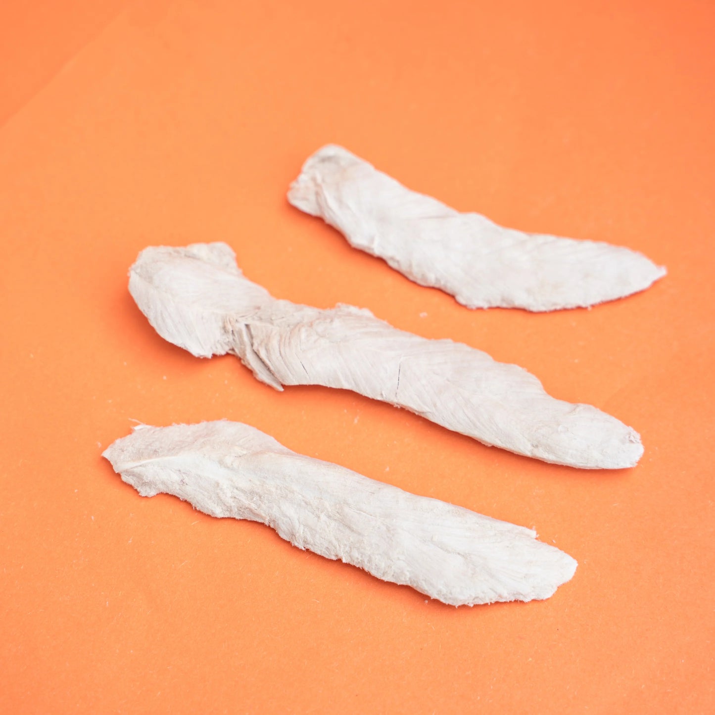 Freeze Dried Duck Breast 40g