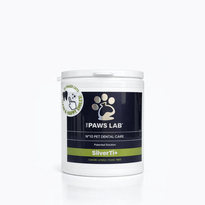 Essential Dog Care Bundle