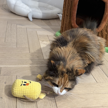 zeze Silvervine Matatabi Wood Pet Toy With Catnip
