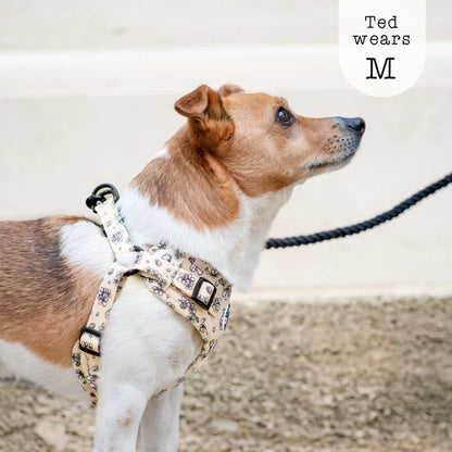 Adjustable Step-In Harness - Blooming Blossom