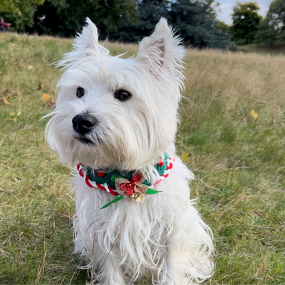 Evergreen Holly Charm Festive Pet Bandana