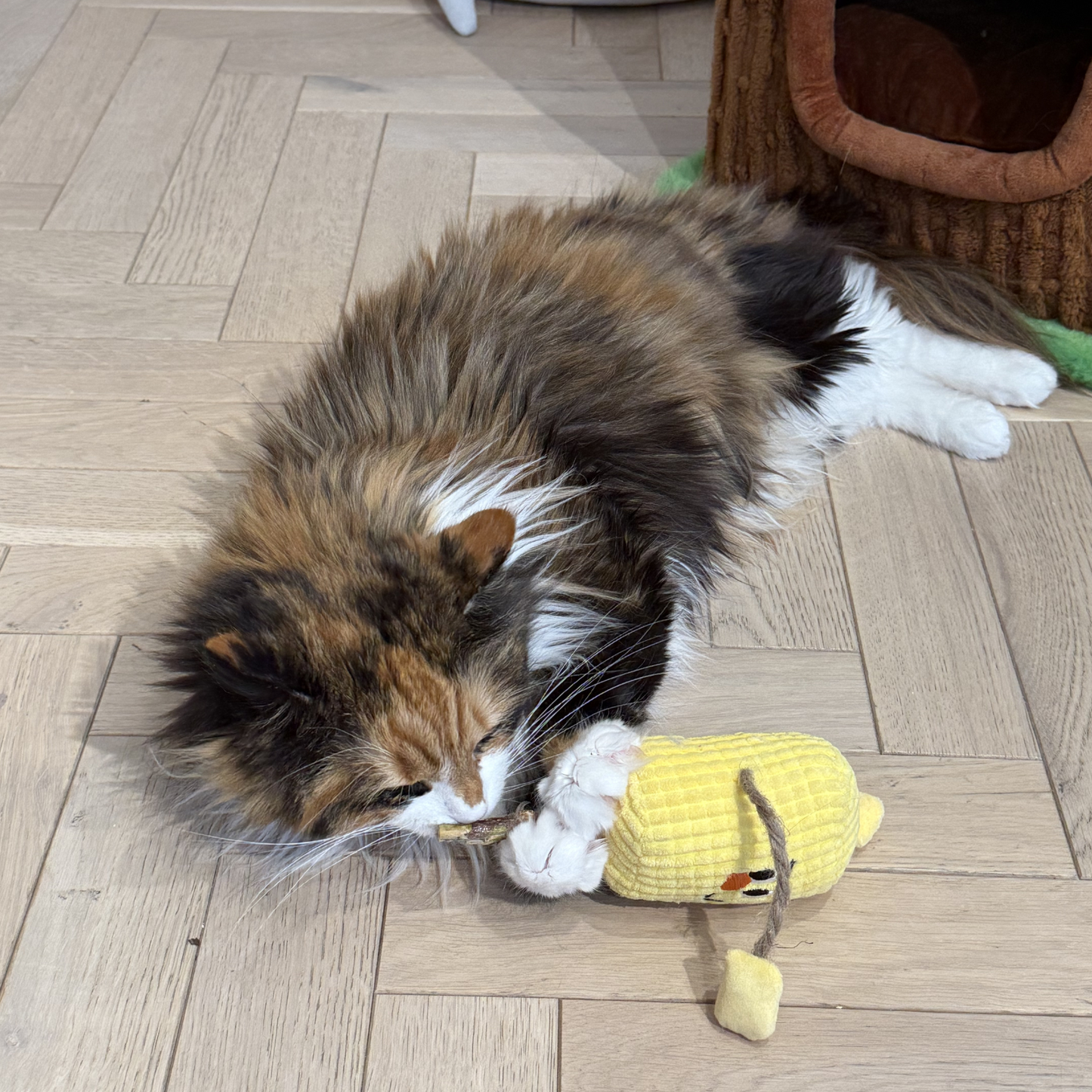zeze Silvervine Matatabi Wood Pet Toy With Catnip