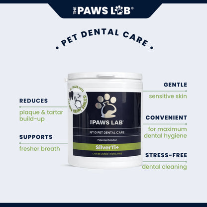 Essential Dog Care Bundle