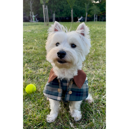 Handmade British Heritage Dog Coat — Olive Classic Field Edition