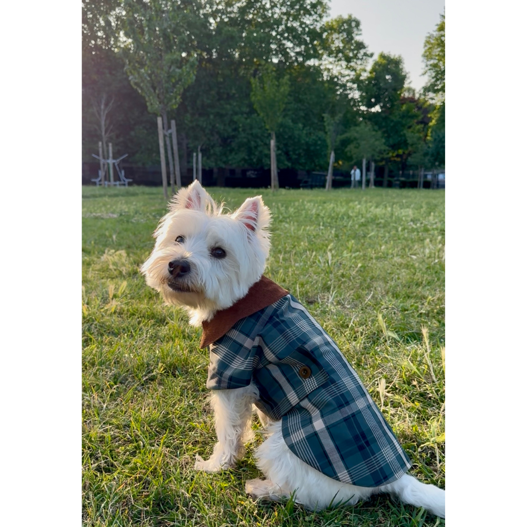 Handmade British Heritage Dog Coat — Olive Classic Field Edition
