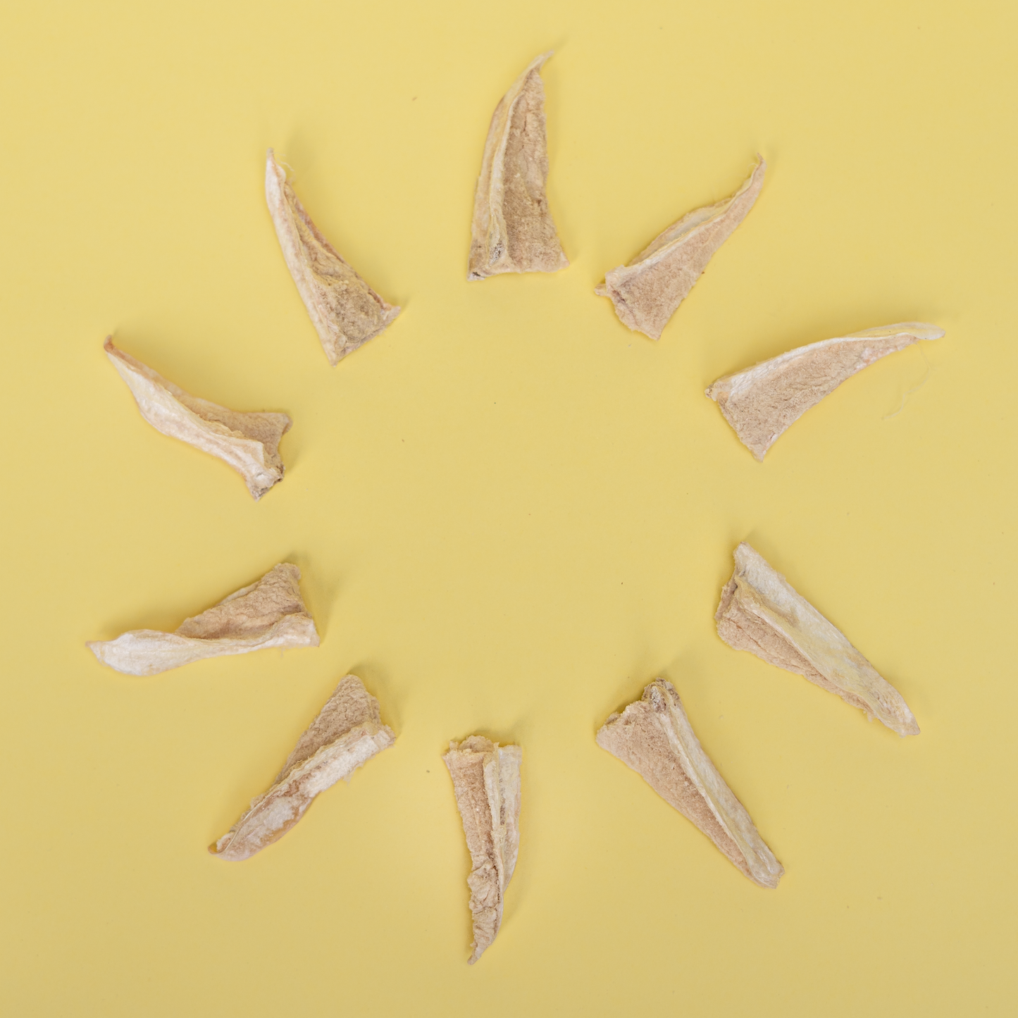 Freeze Dried Chicken Cartilage 40g