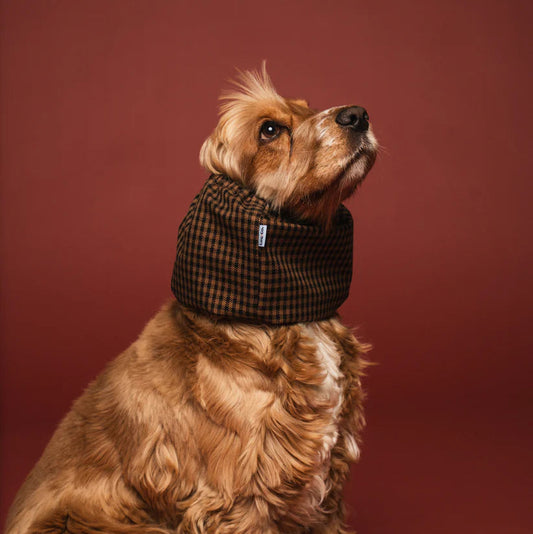 Dog Snood Waterproof Brown Checkered