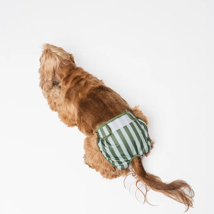 Dog Period Panties Stripes