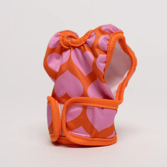 Dog Period Panties Hearts