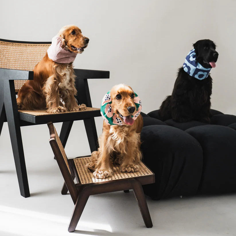 Dog Snood Waterproof Pink