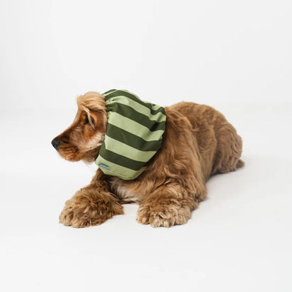 Dog Snood Green Stripes