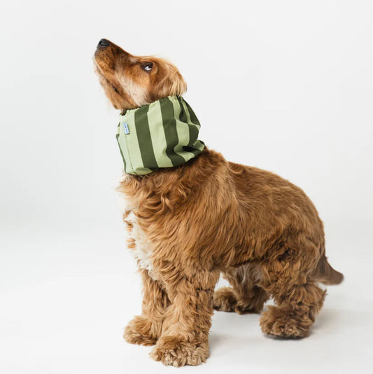 Dog Snood Green Stripes