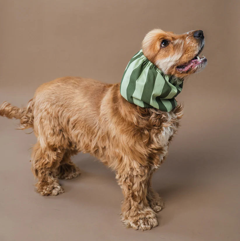 Dog Snood Green Stripes