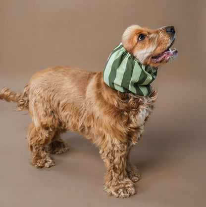 Dog Snood Green Stripes