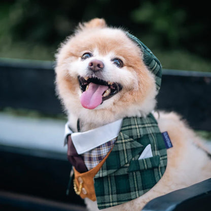 Charles Classic Check Pet Hat for Cats & Small Dogs