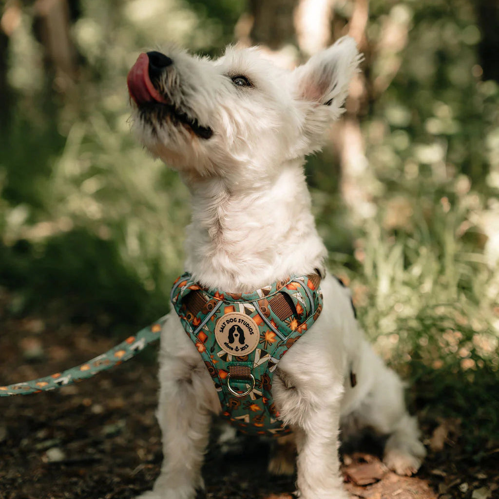 Mountain Camp Out Ultra Comfort Dog Harness