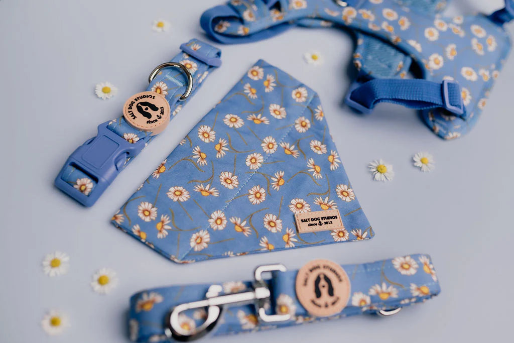 Daisy Daisy Dog Lead