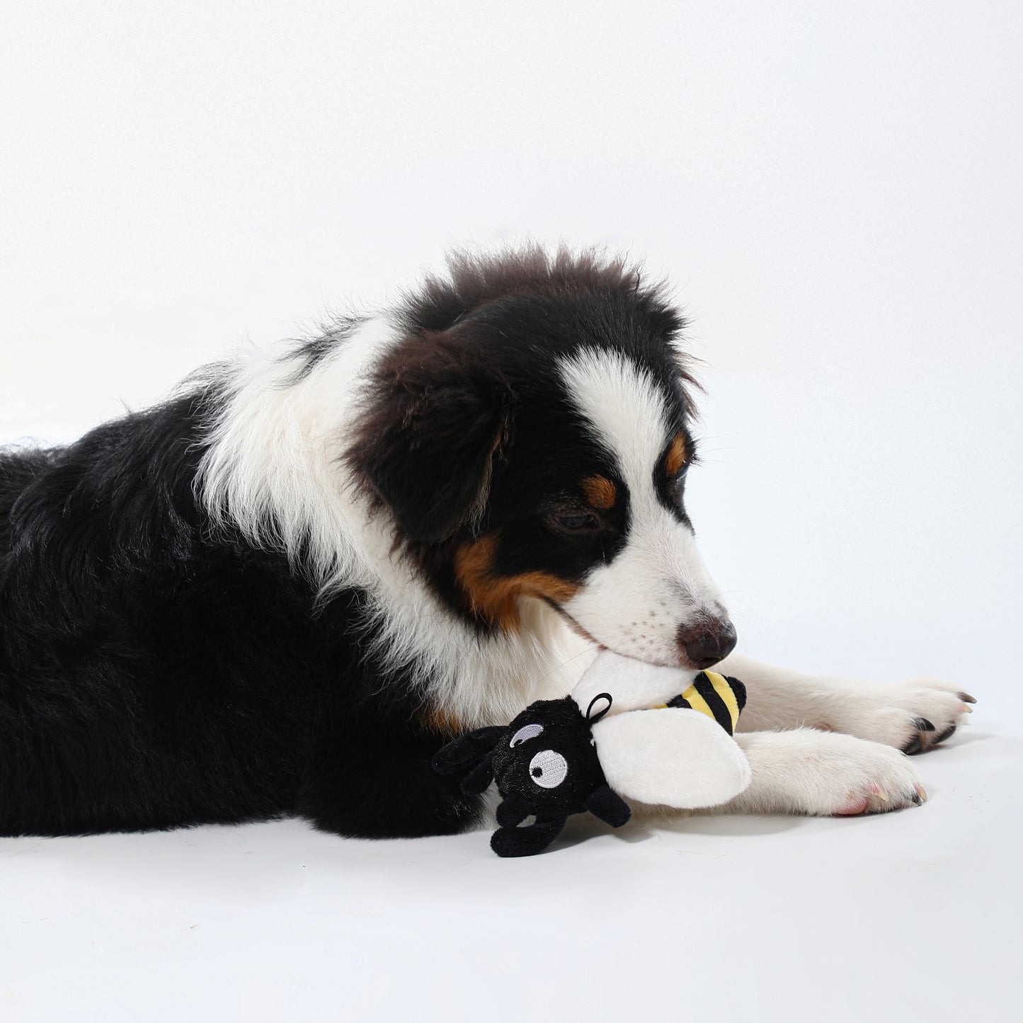 Honey Bee Squeaky Dog Toy – Interactive Play