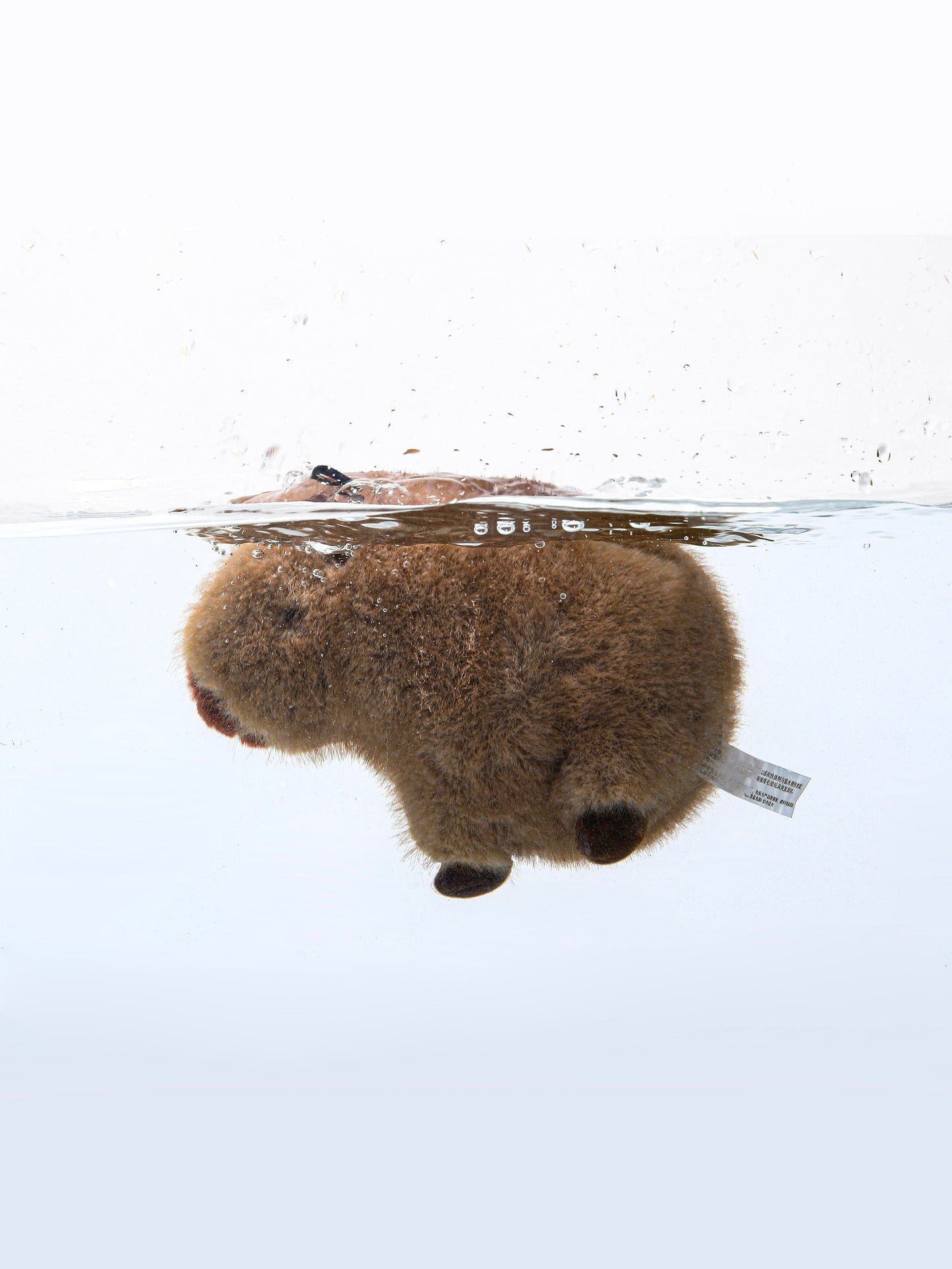 Capybara Squeaky Dog Toy – Interactive & Water-Friendly Play