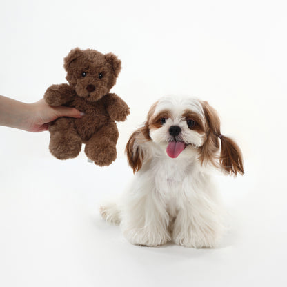 Cuddle Bear Squeaky Dog Toy – Comfort & Play