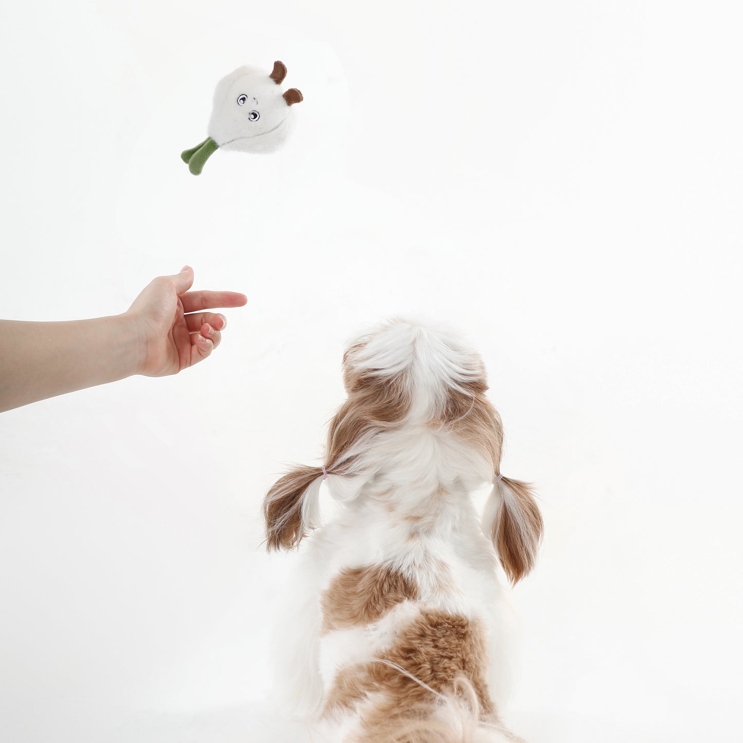 Garlic Squeaky Dog Toy (Small) – Interactive Play