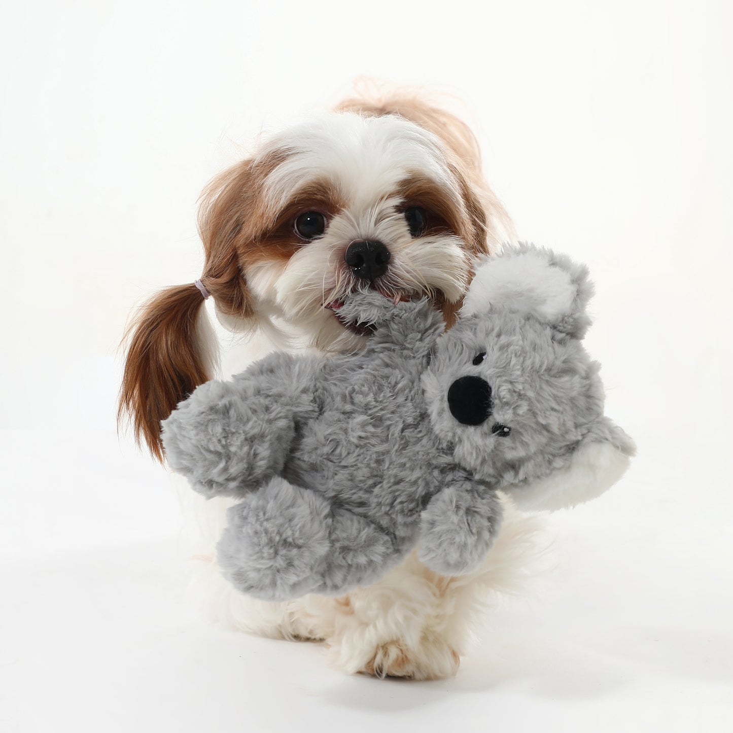 Cuddle Koala Squeaky Dog Toy – Comfort & Play
