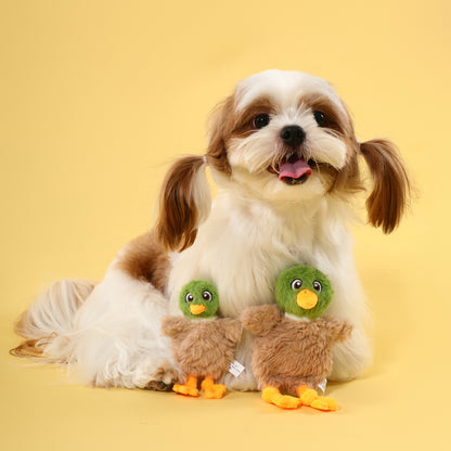 Flat Duck Squeaky Dog Toy – Gentle Interactive Play