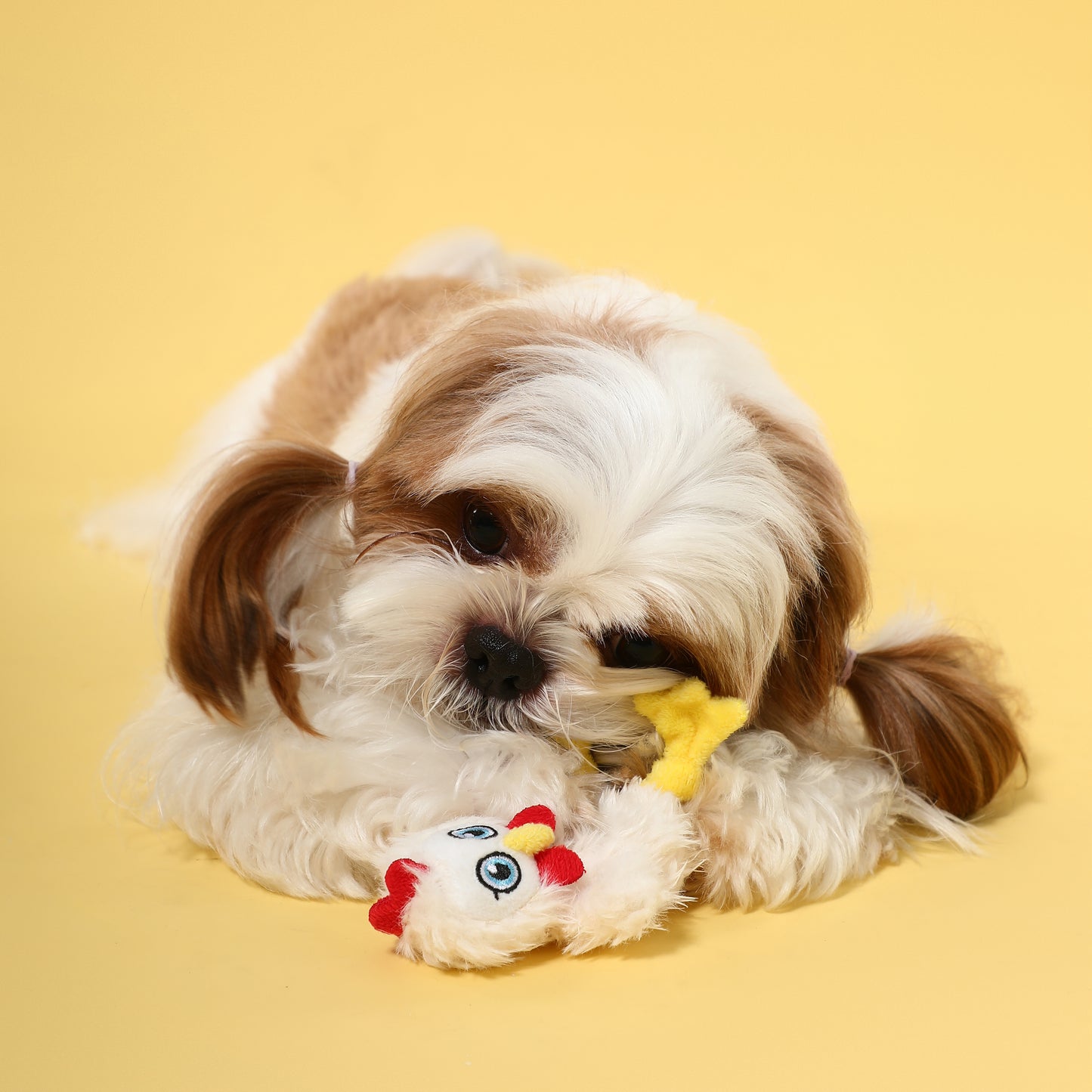 Flat Chicken Squeaky Dog Toy – Gentle Interactive Play
