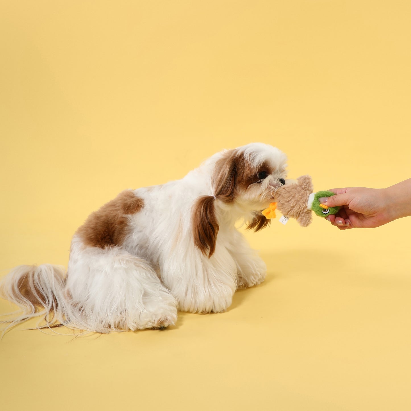 Flat Duck Squeaky Dog Toy – Gentle Interactive Play