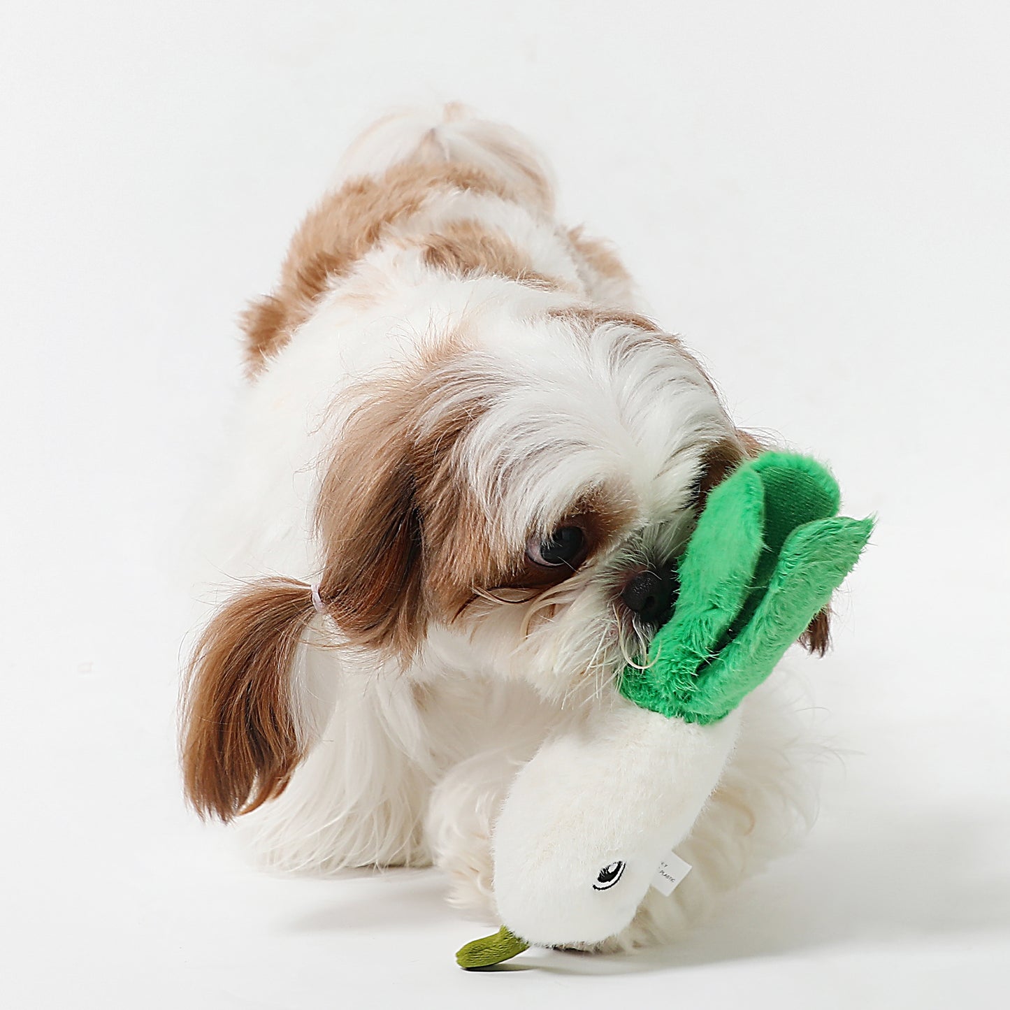Spring Onion Squeaky Dog Toy (Small) – Interactive Play