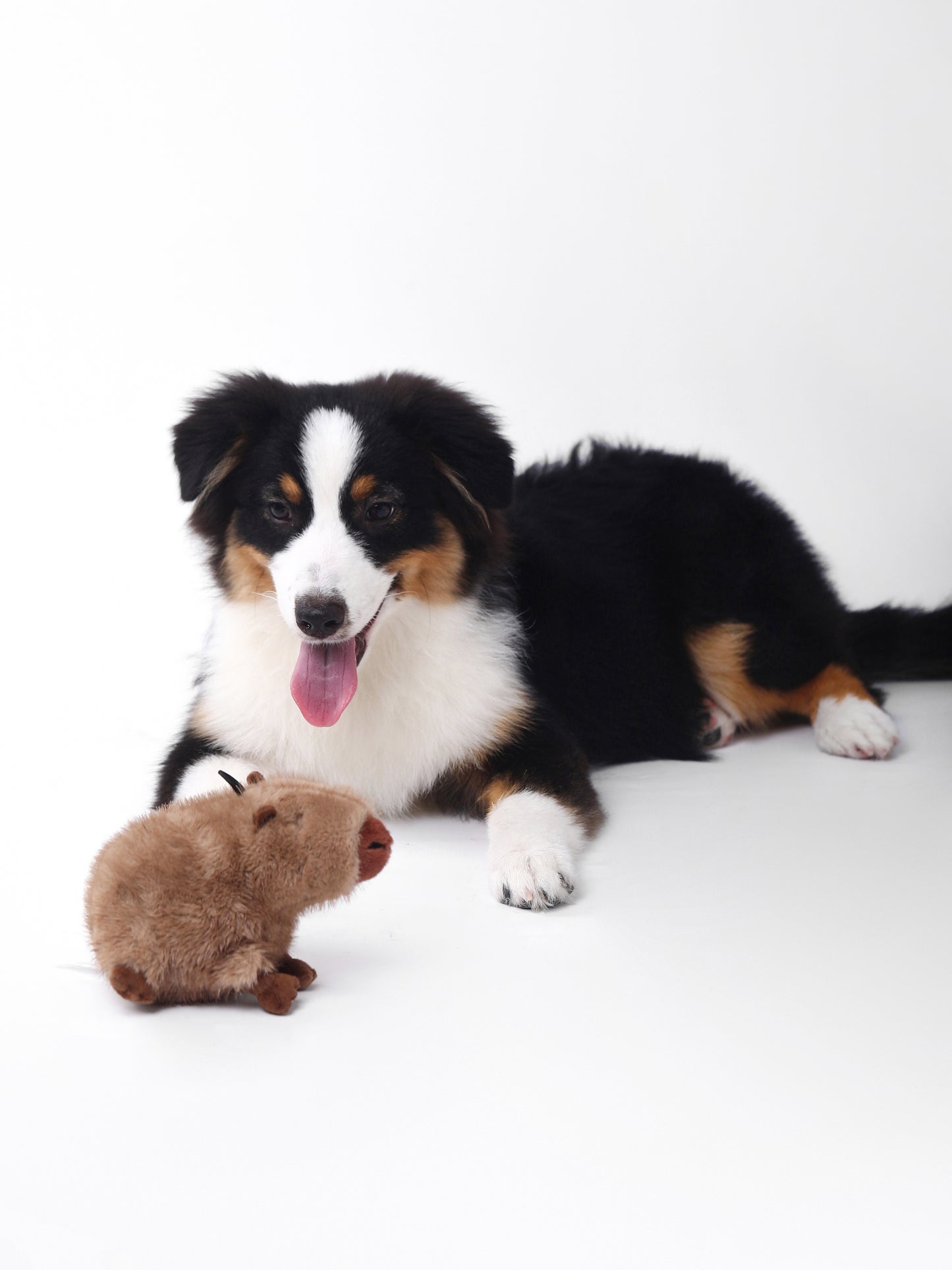 Capybara Squeaky Dog Toy – Interactive & Water-Friendly Play