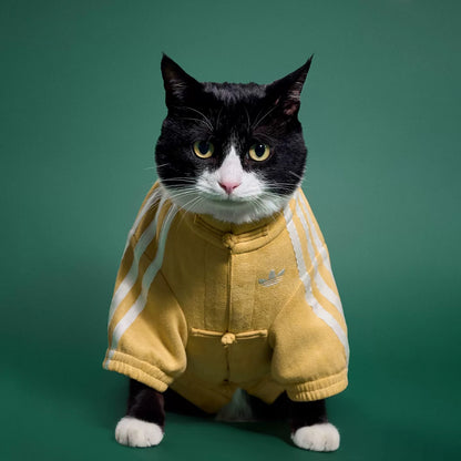 Adidas Pets Chinese Style Jacket - Oat