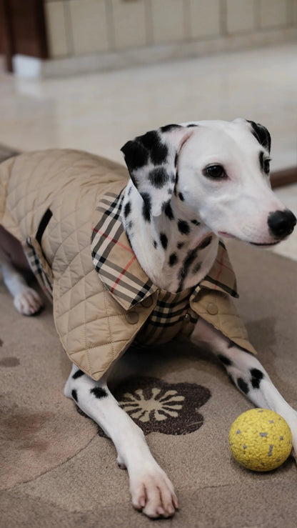 Premium Handcrafted Padded Dog Coat