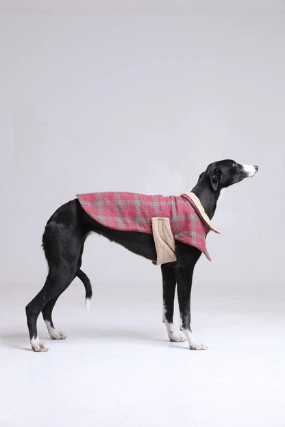 Premium Handcrafted Padded Dog Coat