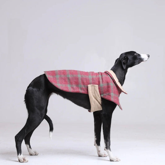Unique Dog Padded Coat - British Heritage