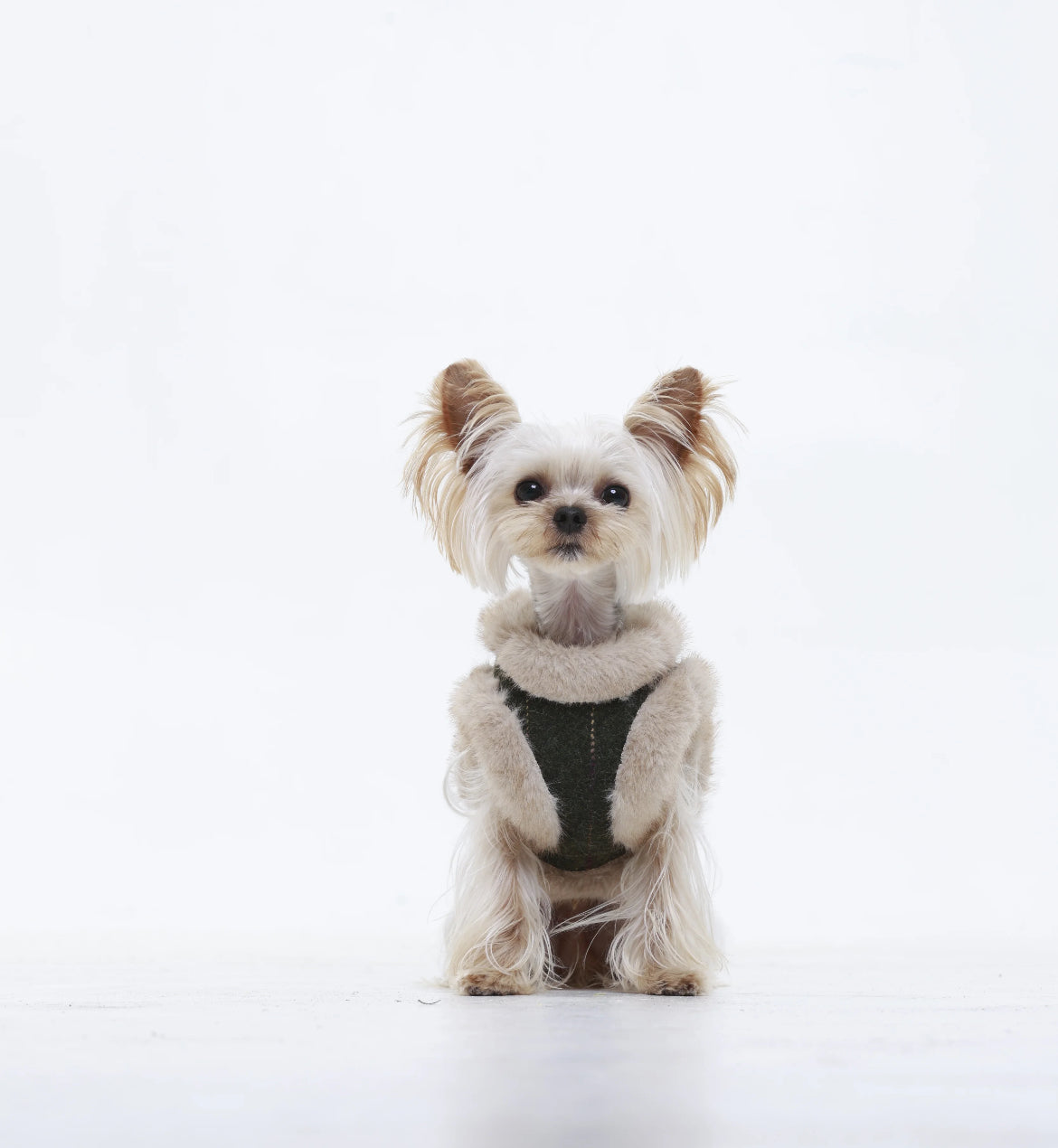 Premium Handcrafted Fluffy Harness - 2025 New
