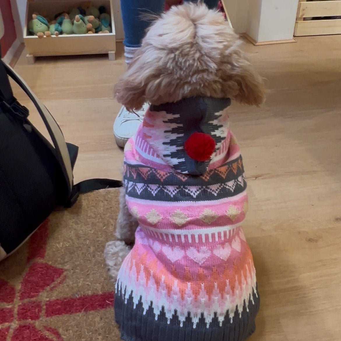 Xmas Pet Jumper - Gradient Pink Pom Pom Jumper