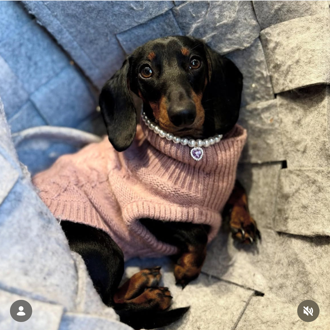 Royal Pearl Pet Necklace – Ruby Red Heart Charm | Glamorous Pet Accessory