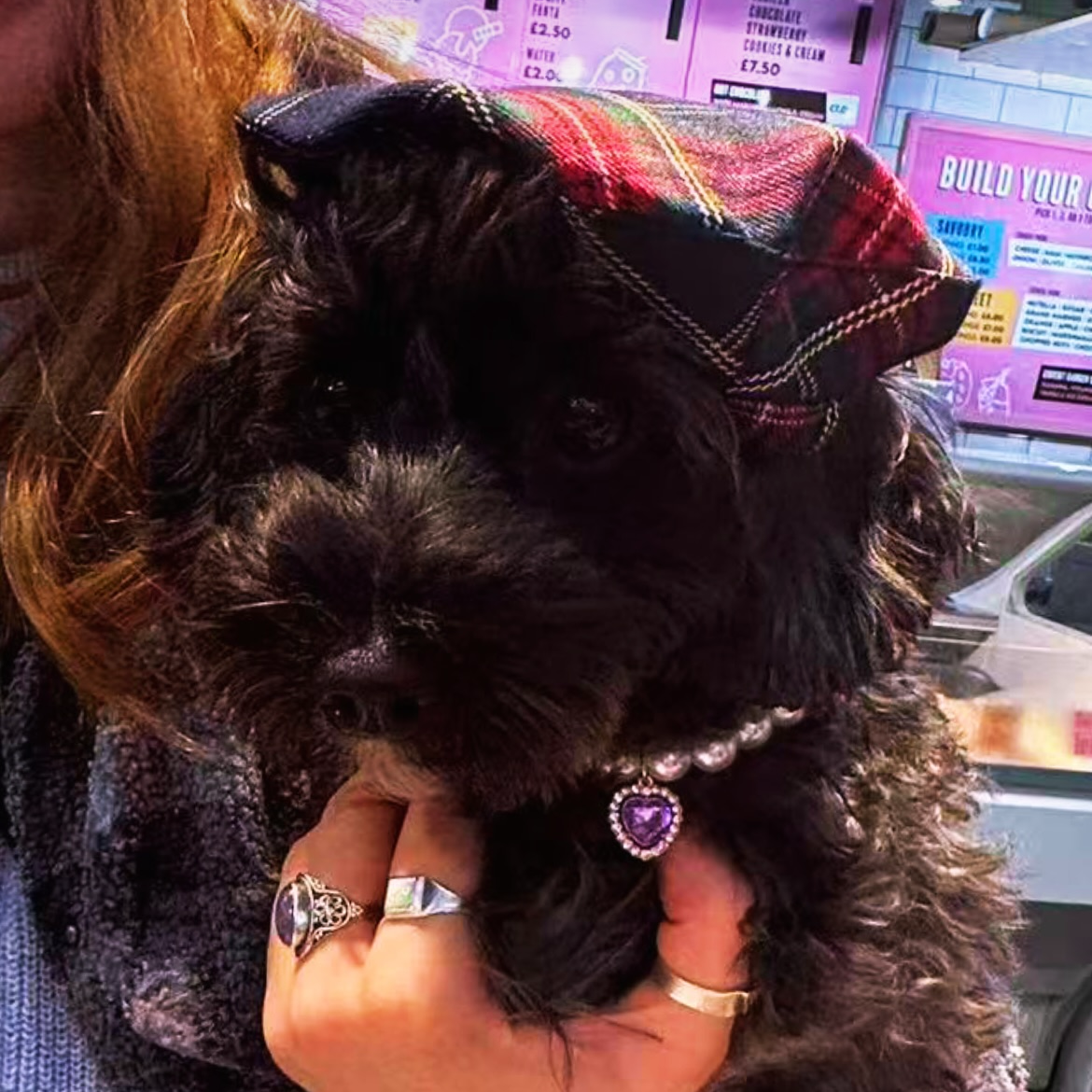 Royal Pearl Pet Necklace – Ruby Red Heart Charm | Glamorous Pet Accessory