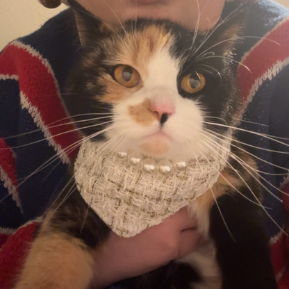 Chanel-Inspired Pearl Pet Bib – Cream Bouclé Elegance for Small Pets