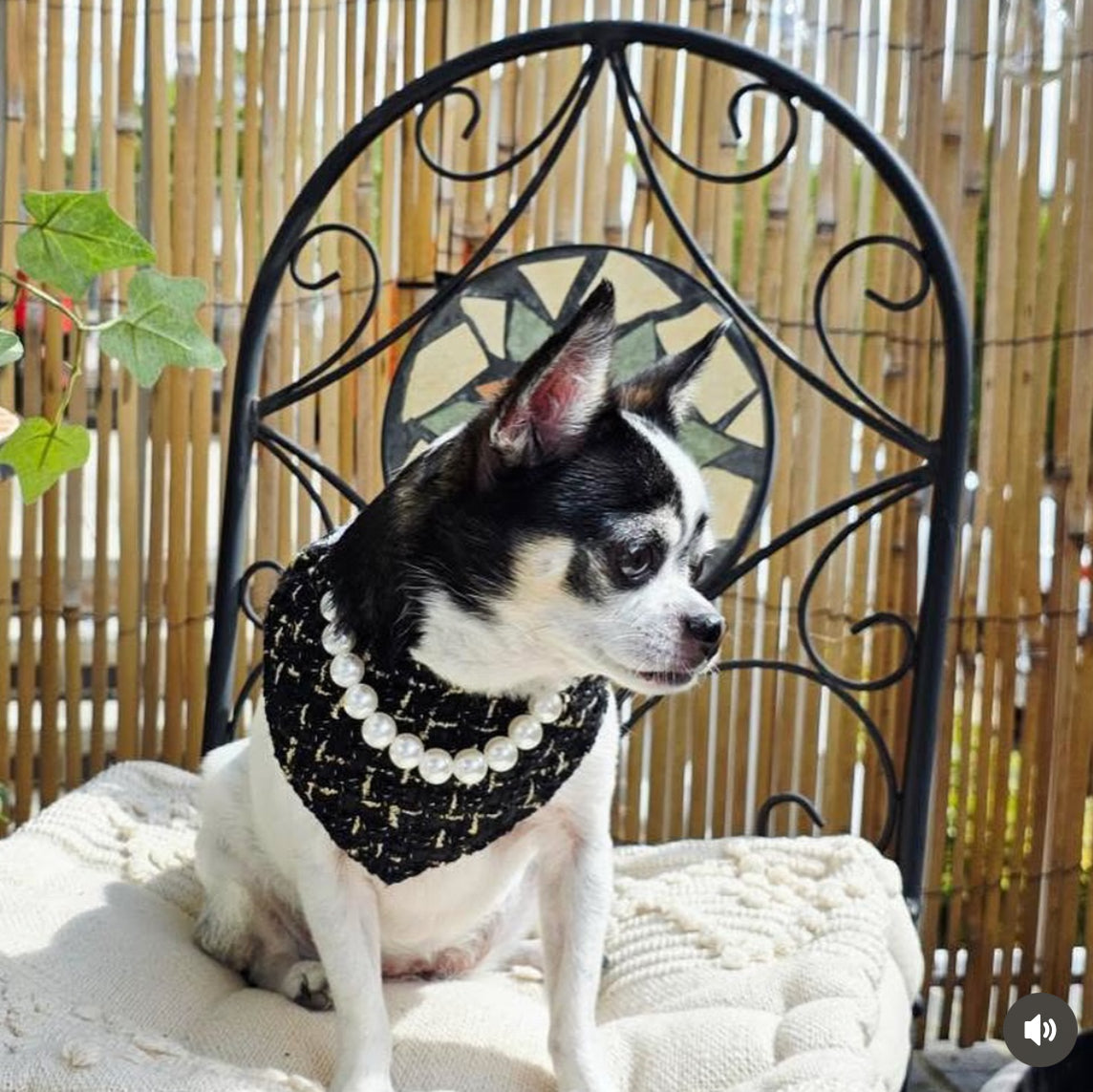Chanel-Inspired Pearl Pet Bib – Black Classic Tweed for Stylish Pets