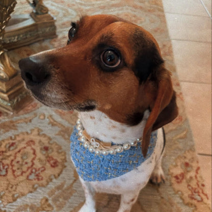 Chanel-Inspired Pearl Pet Bib – Blue Royal Style for Small Pets