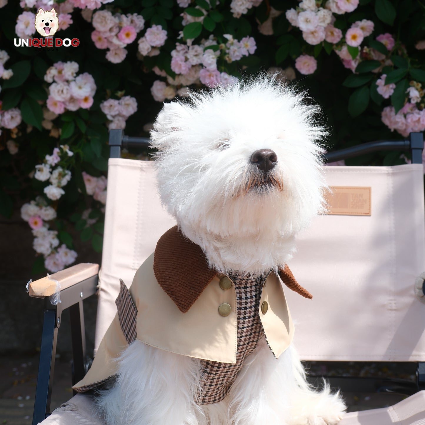 London Tailoring - The Barrister Coat