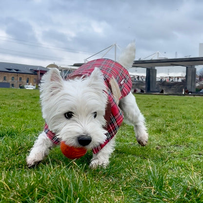 Unique Dog British Red Tartan Coat