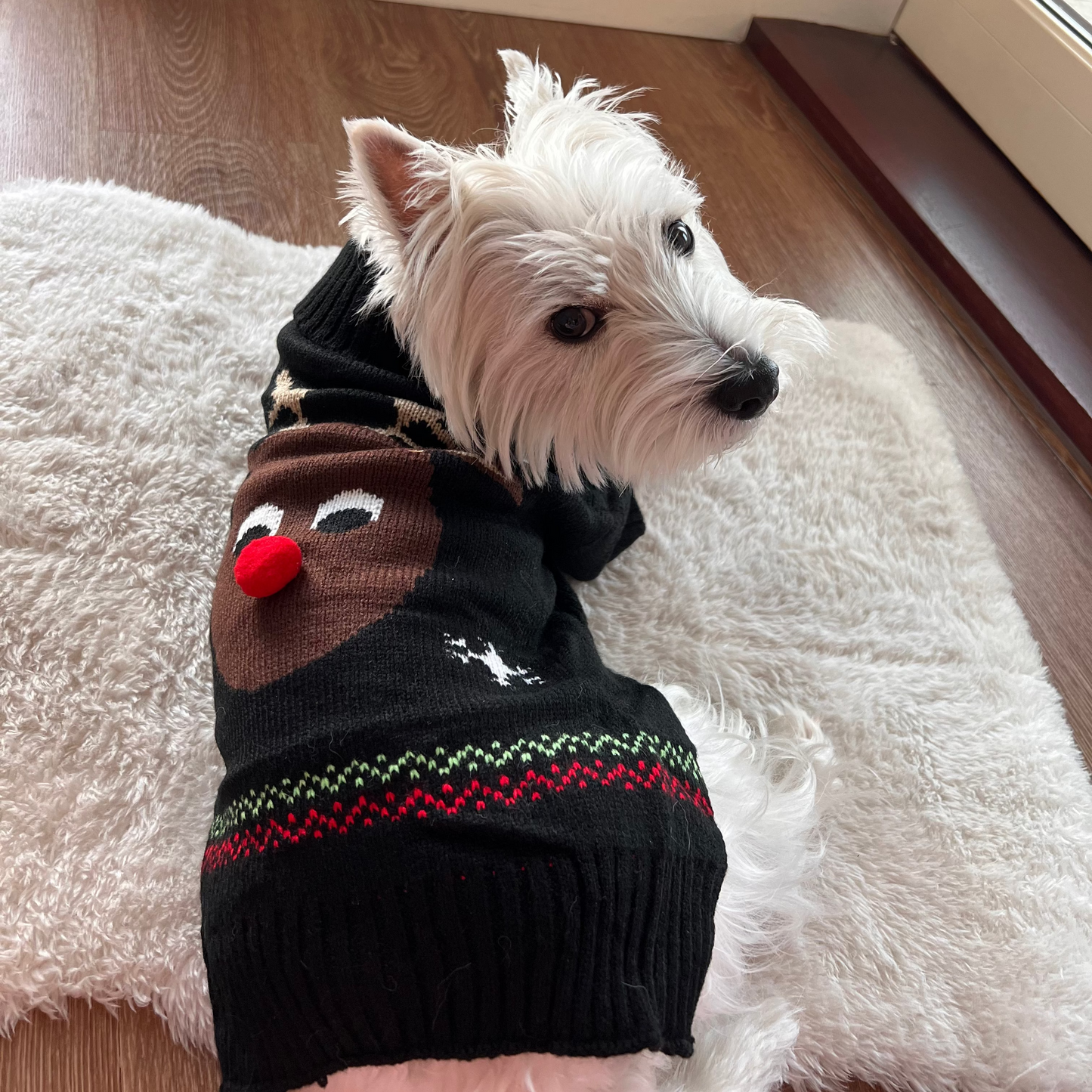 Xmas Dog Jumper - Navy Reindeer Jumper