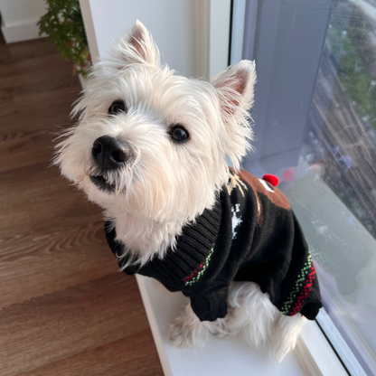 Xmas Dog Jumper - Navy Reindeer Jumper