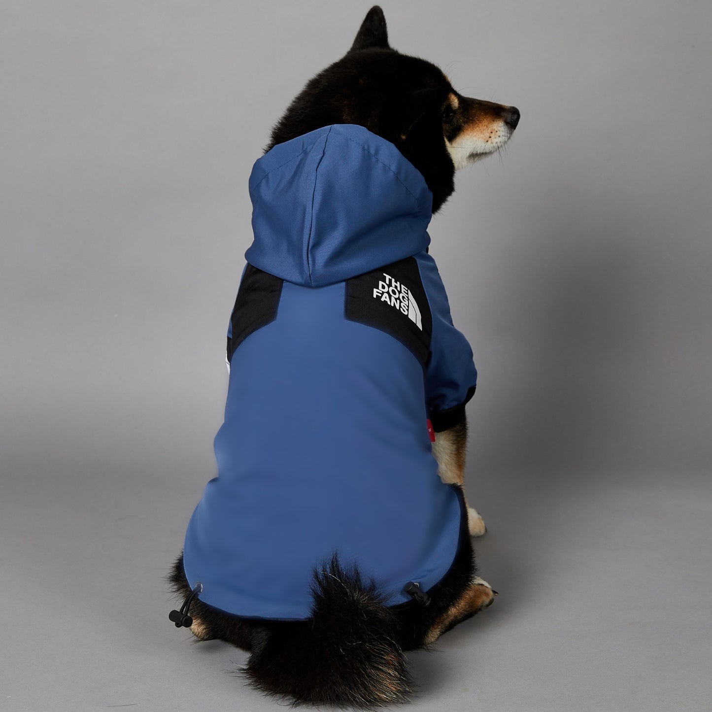 DogFans Waterproof Jacket - Blue