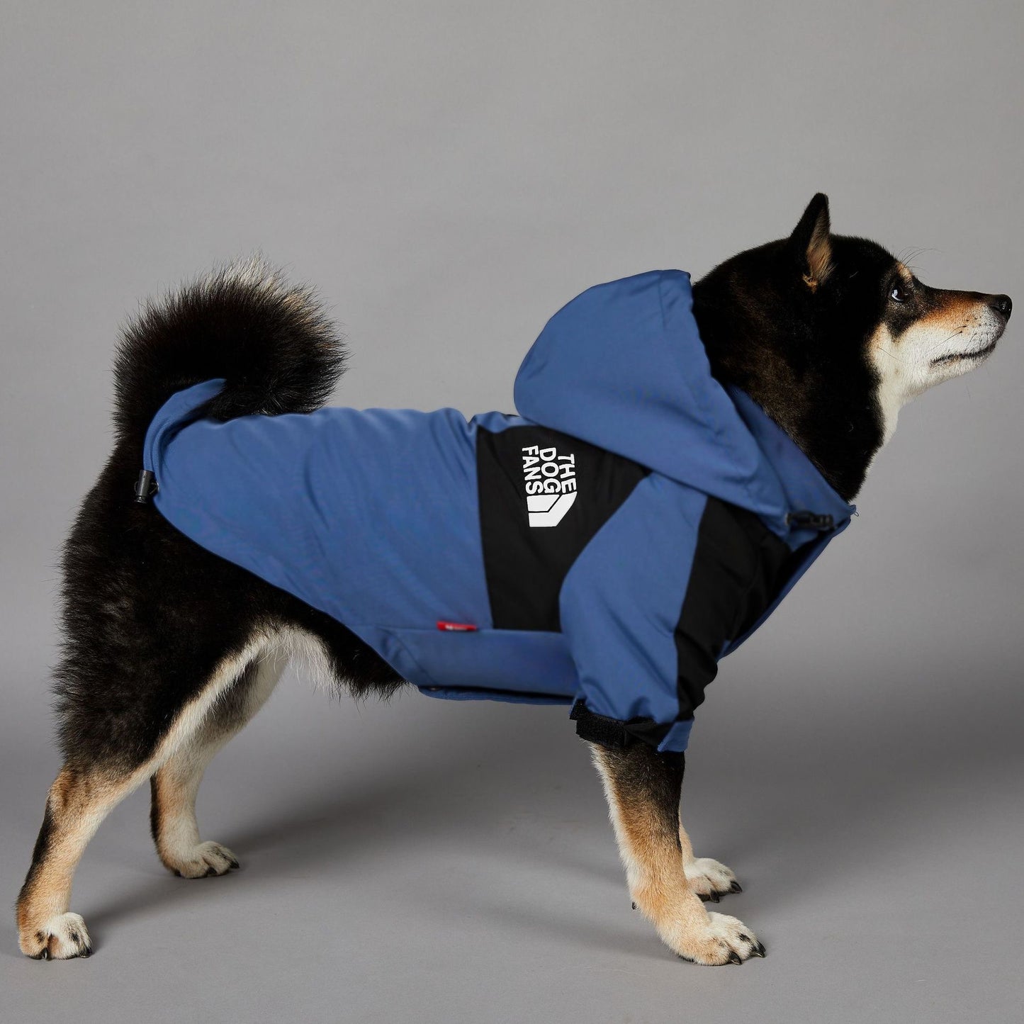 DogFans Waterproof Jacket - Blue