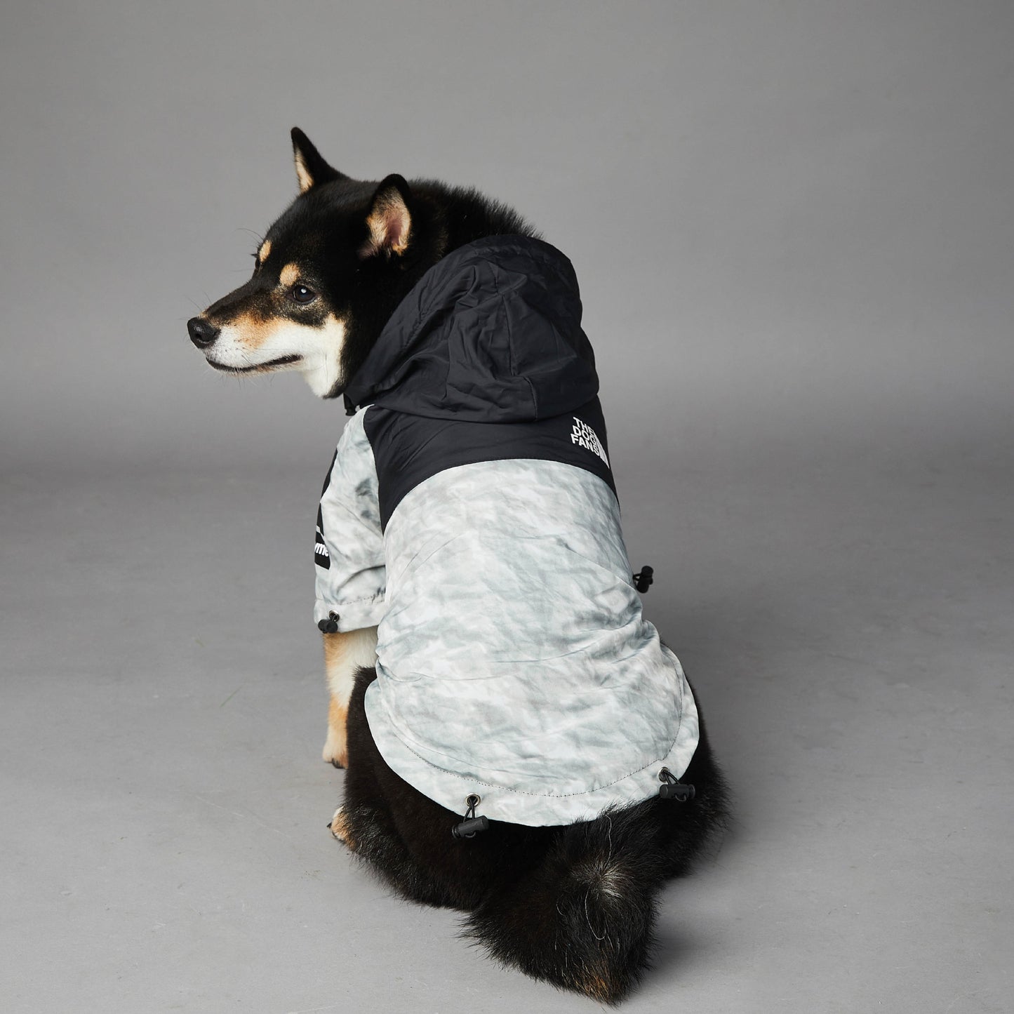 DogFans Waterproof Jacket - Newspaper Print