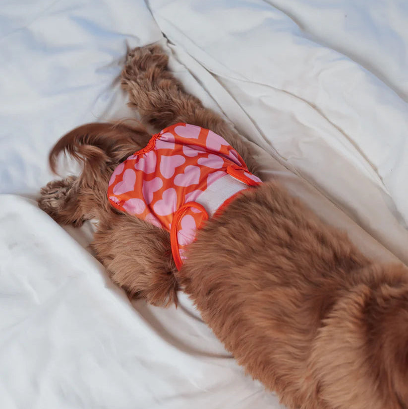 Dog Period Panties Hearts